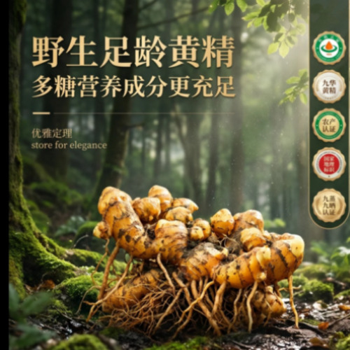 菁选灵创 AI 视觉服务展示